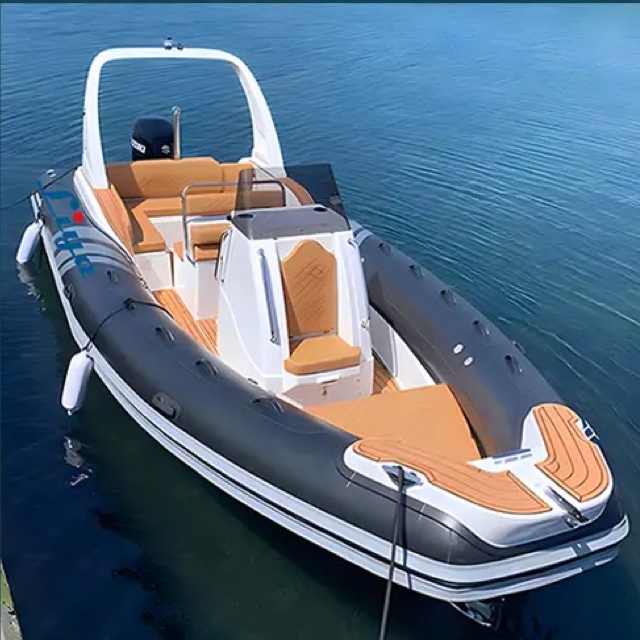  Liya Rib Bateau gonflable semi-rigide de 25 pieds, 7,5 mètres 